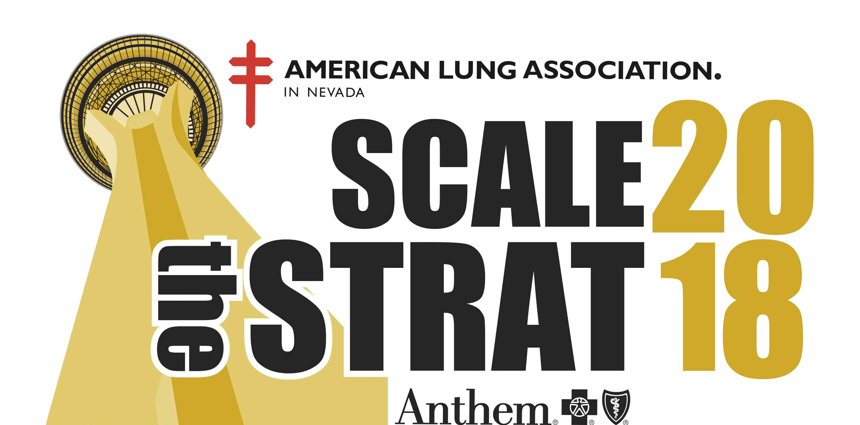 2017 Scale the Strat logo copy