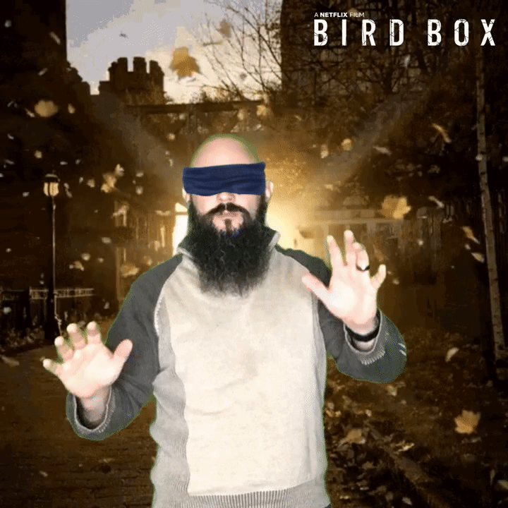 bird box blindfolded man gif