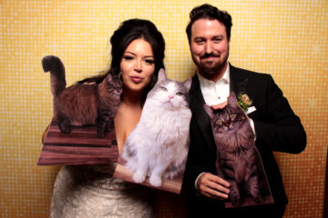 Couple posing with gold shimmer backdrop and three cat cutouts