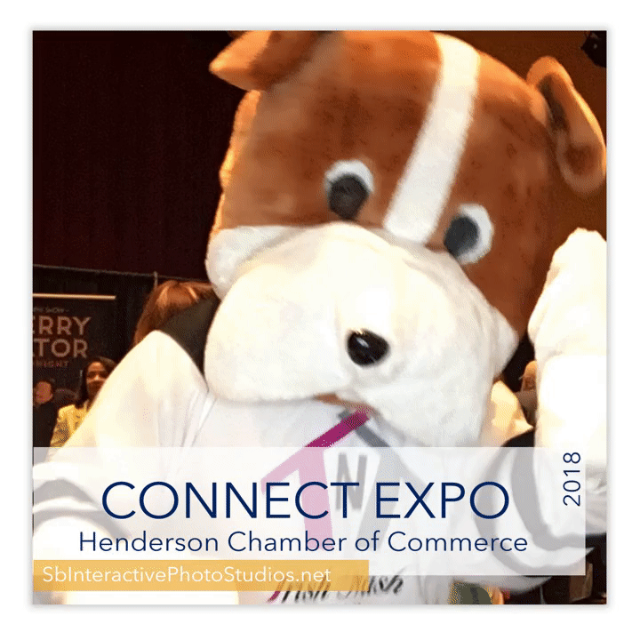 connect expo dog costume dancing gif