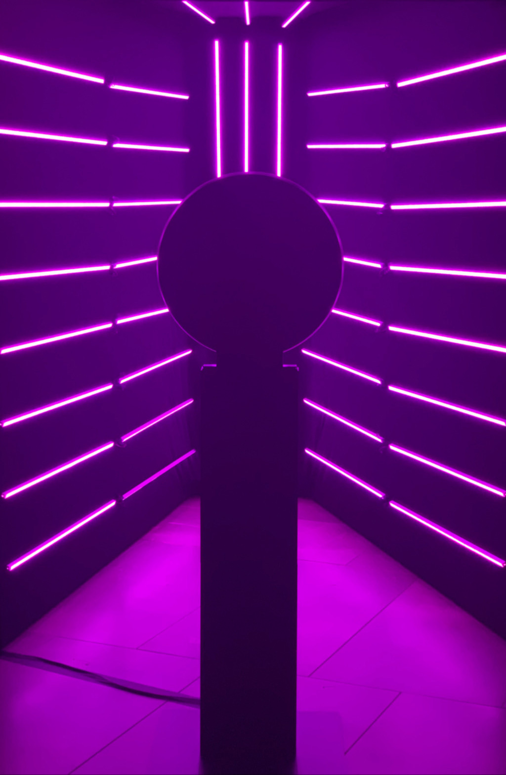 purple | Photo Booth Rentals in Las Vegas, Smash Booth